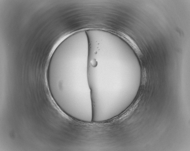 X0000115830812200912041646