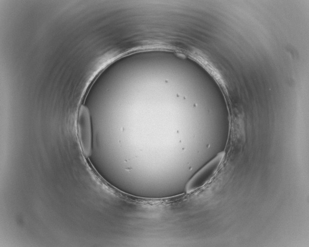 X0000115830813200912041646