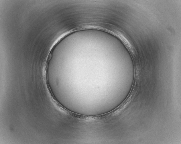 X0000115830814200912041646