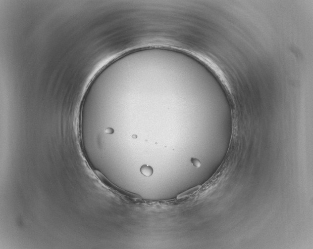 X0000115830815200912041646