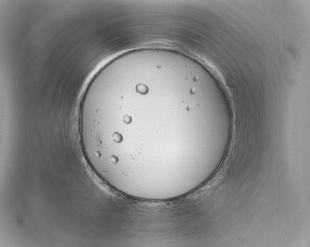 X0000115830816200912041646