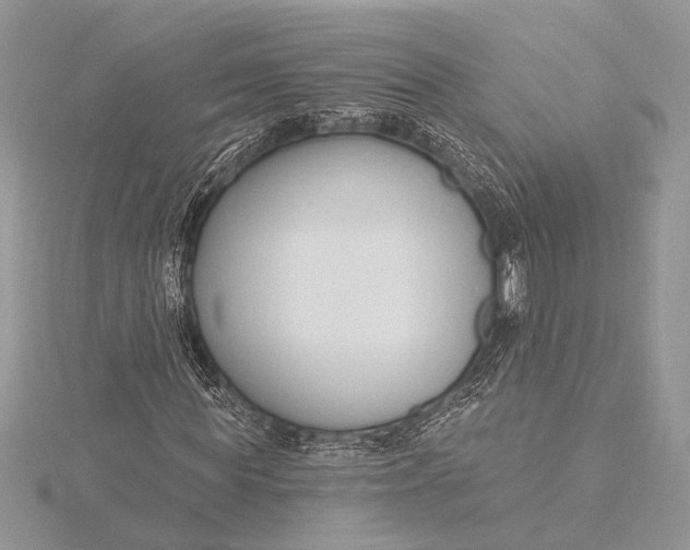 X0000115830819200912041646