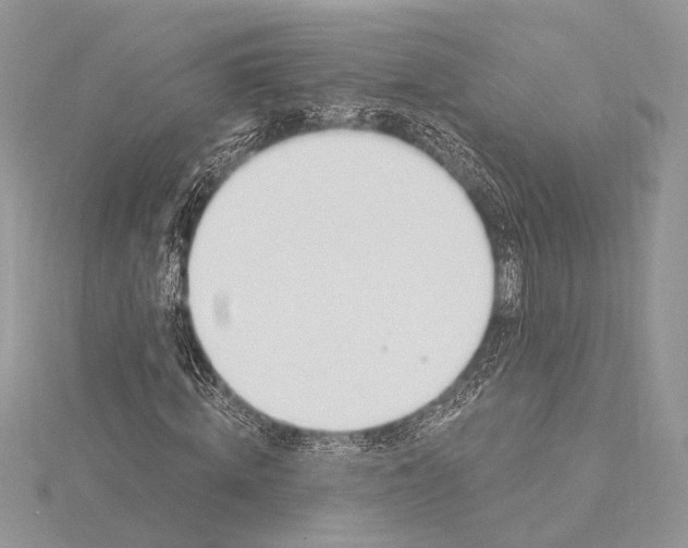 X0000115830820200912041646