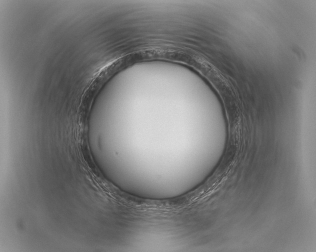 X0000115830822200912041646