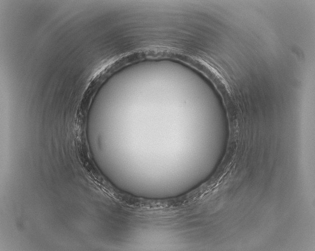 X0000115830823200912041646