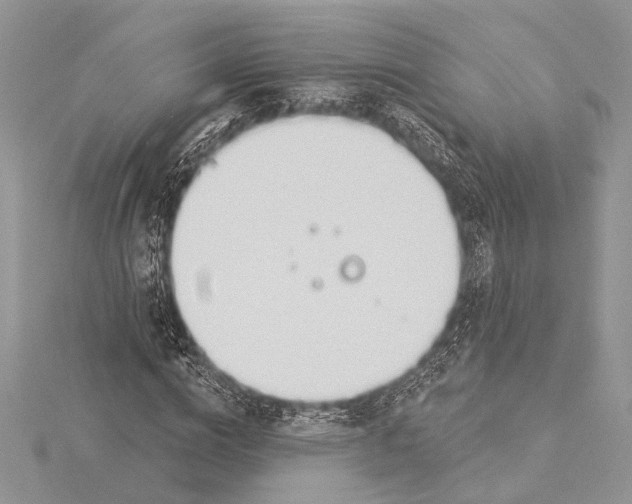 X0000115830824200912041646