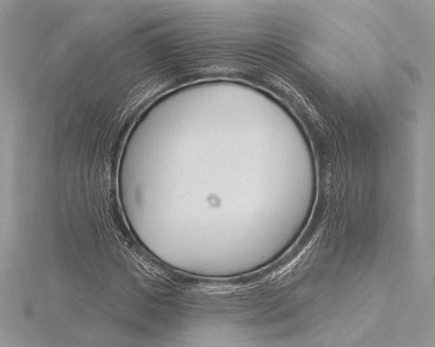 X0000115830825200912041646