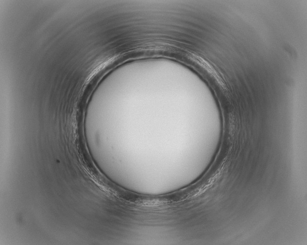 X0000115830826200912041646