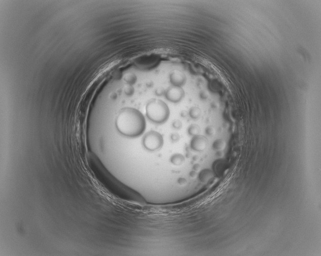 X0000115830827200912041646