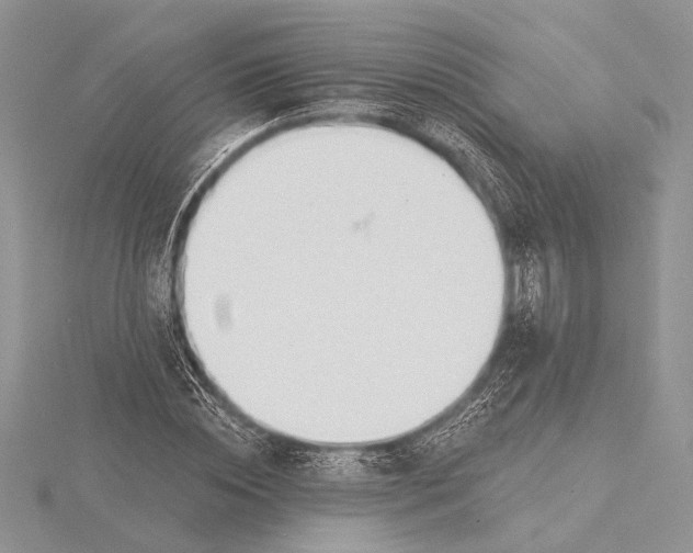 X0000115830828200912041646