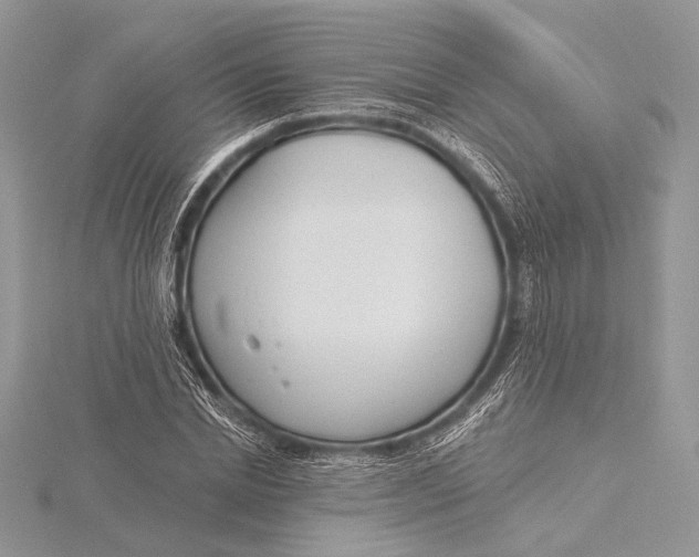 X0000115830830200912041646