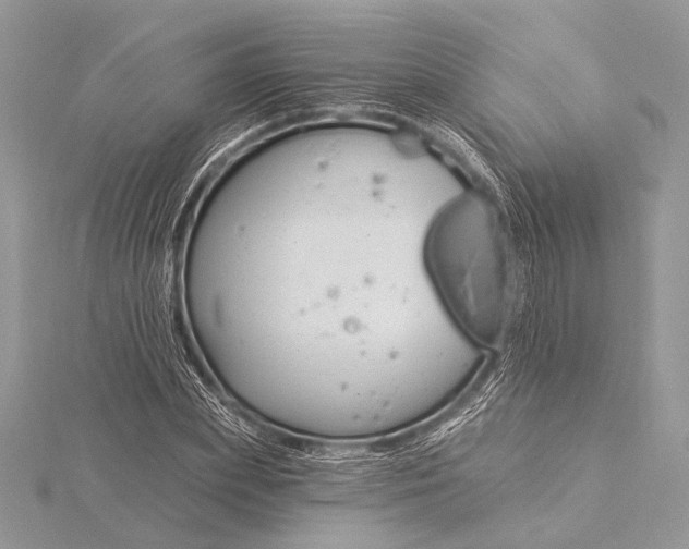 X0000115830831200912041646