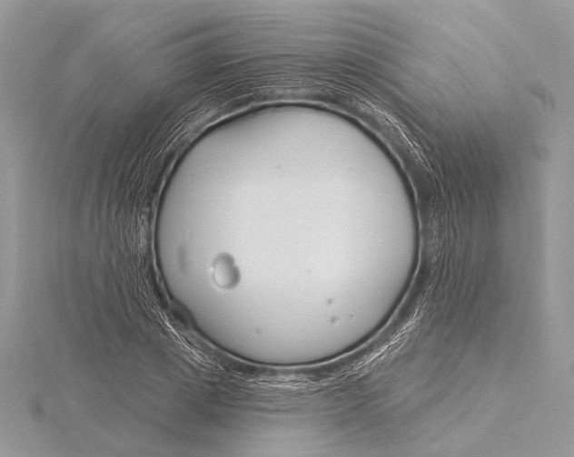 X0000115830833200912041646