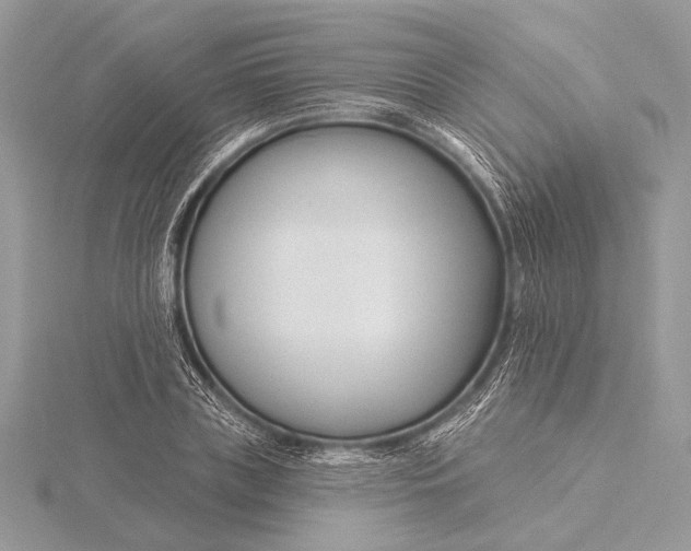 X0000115830835200912041646