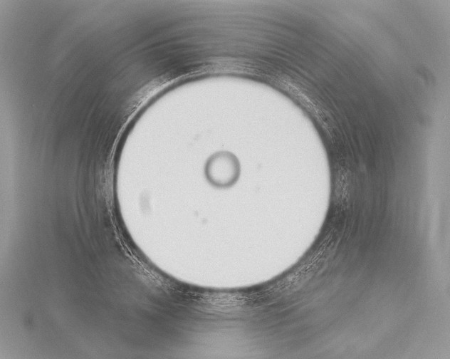 X0000115830836200912041646