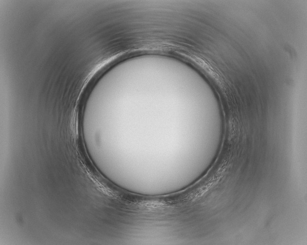 X0000115830838200912041646