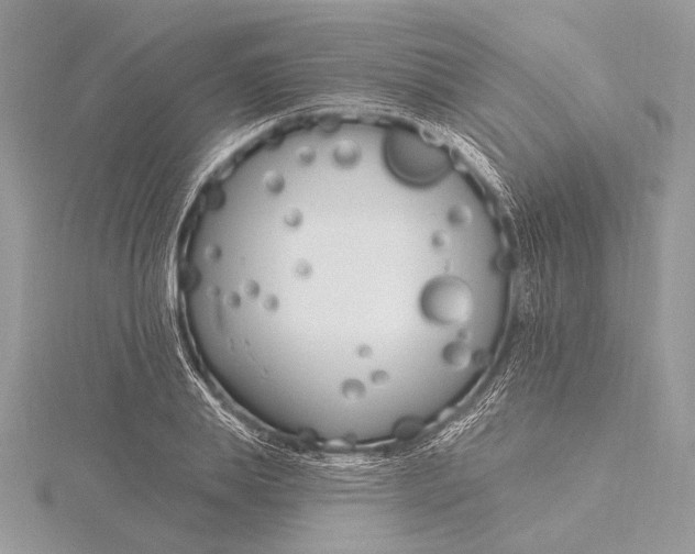 X0000115830839200912041646