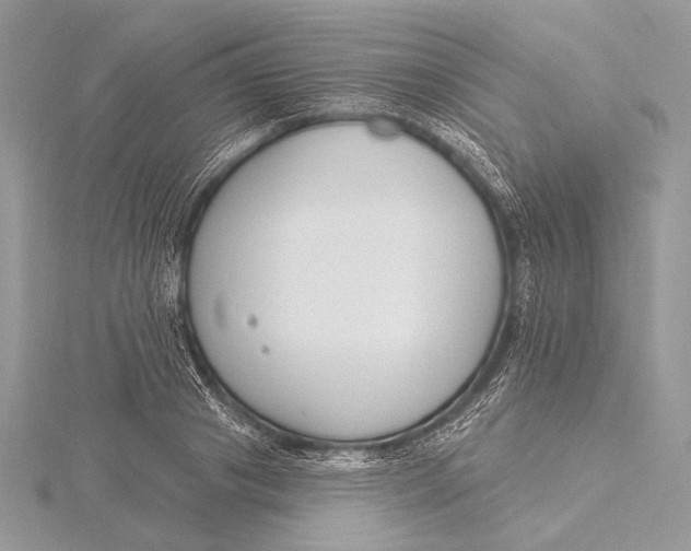 X0000115830841200912041646