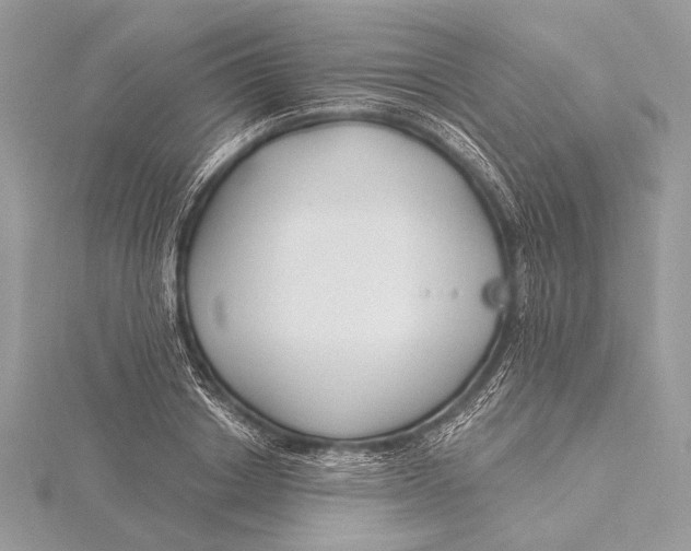 X0000115830842200912041646