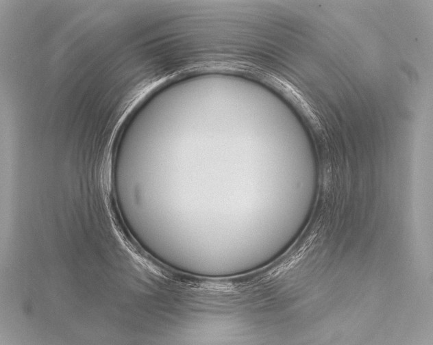 X0000115830844200912041646