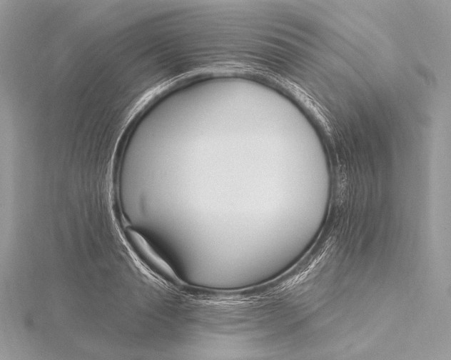 X0000115830845200912041646