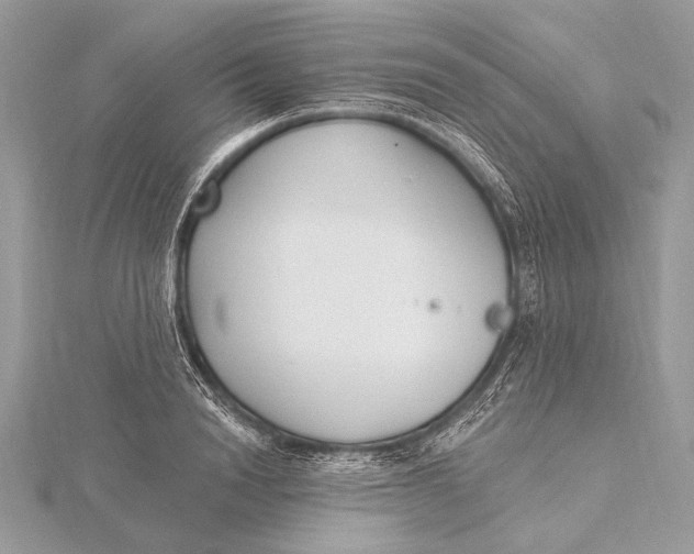 X0000115830846200912041646