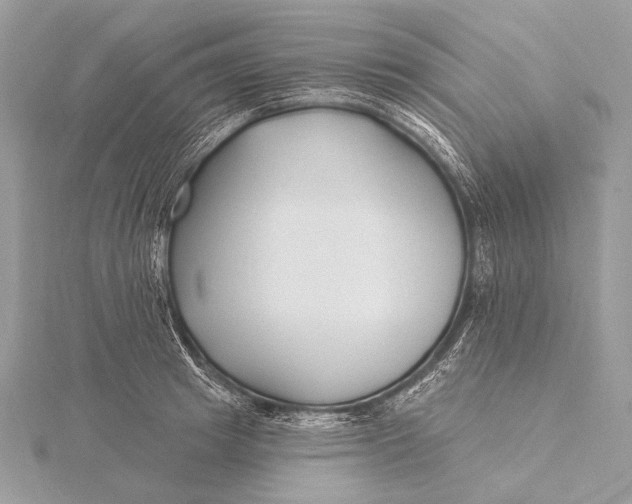 X0000115830849200912041646