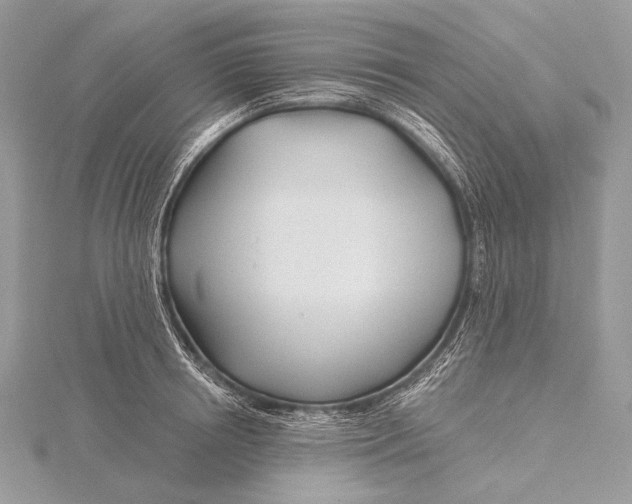 X0000115830850200912041646