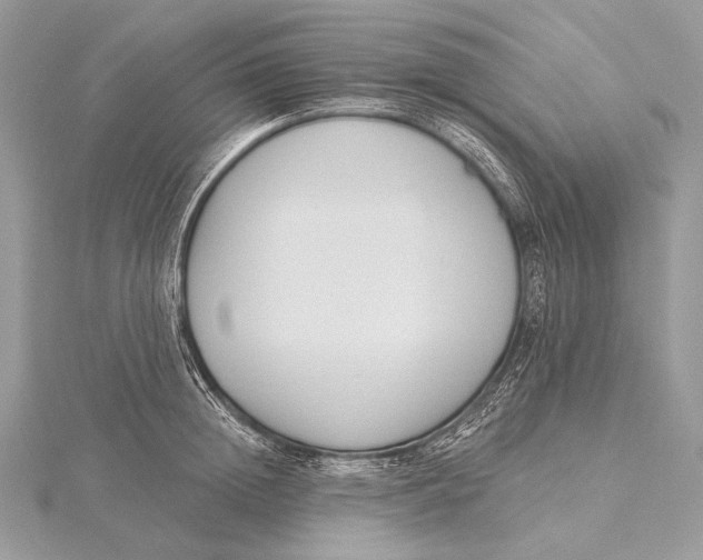 X0000115830852200912041646