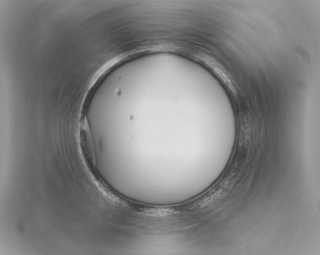 X0000115830853200912041646