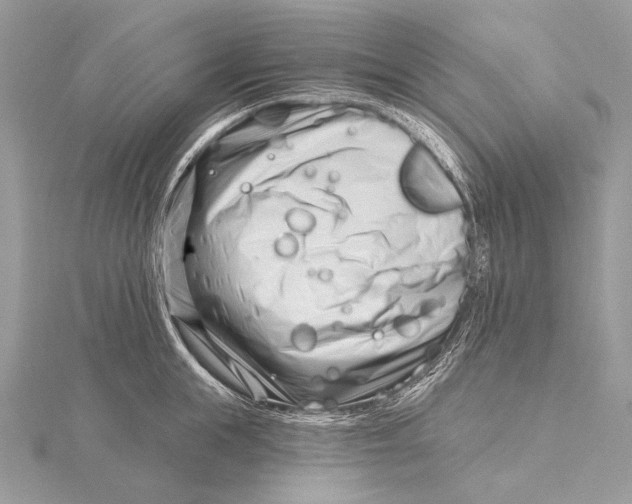 X0000115830855200912041646