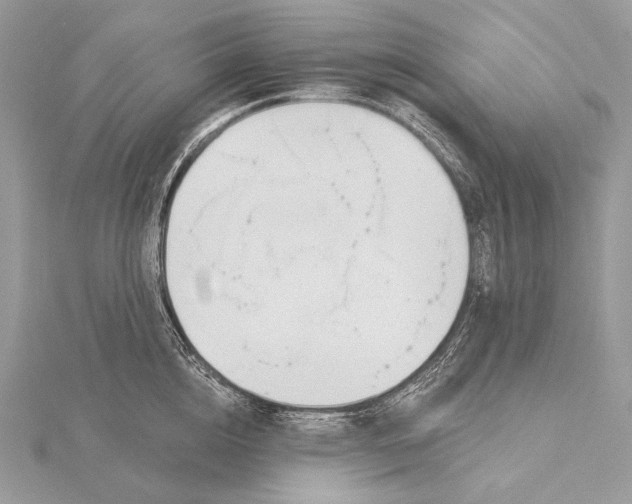 X0000115830856200912041646