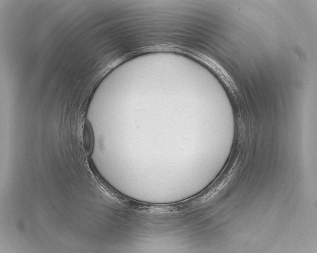 X0000115830857200912041646