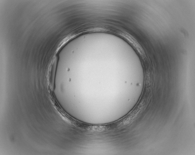 X0000115830858200912041646