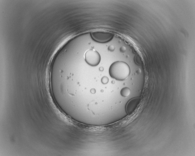 X0000115830859200912041646