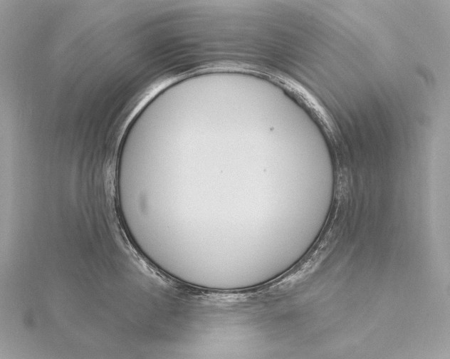 X0000115830860200912041646