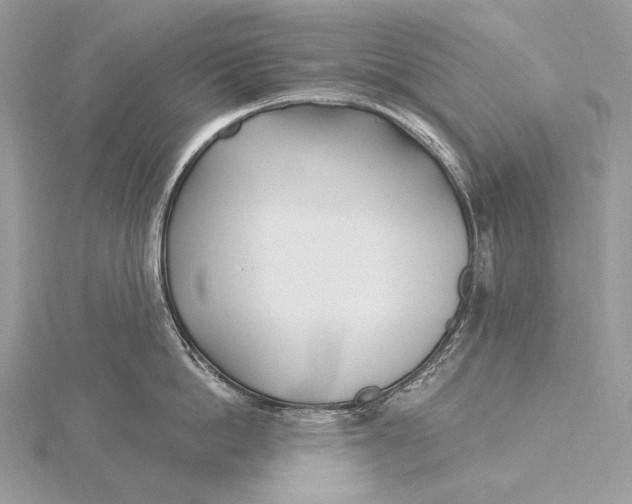 X0000115830862200912041646