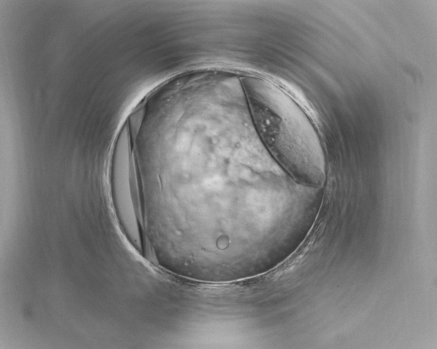 X0000115830863200912041646