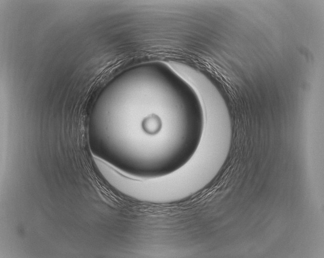 X0000115830868200912041646