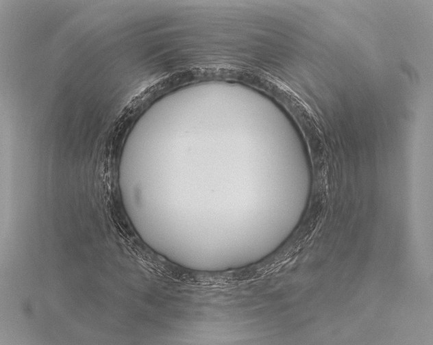 X0000115830870200912041646