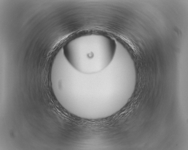 X0000115830872200912041646