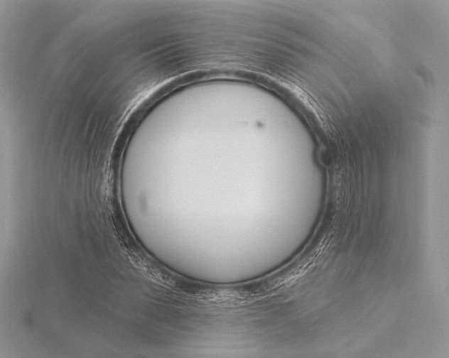 X0000115830879200912041646