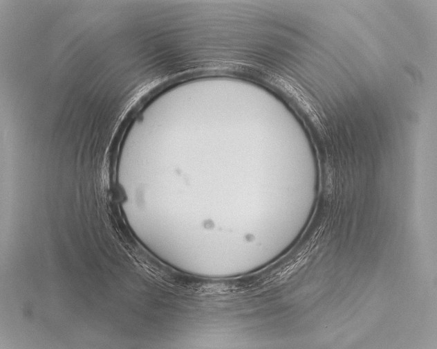 X0000115830883200912041646