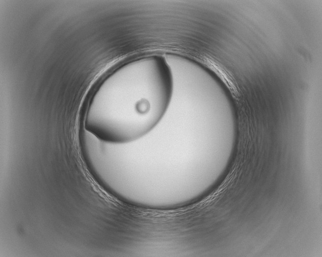 X0000115830884200912041646