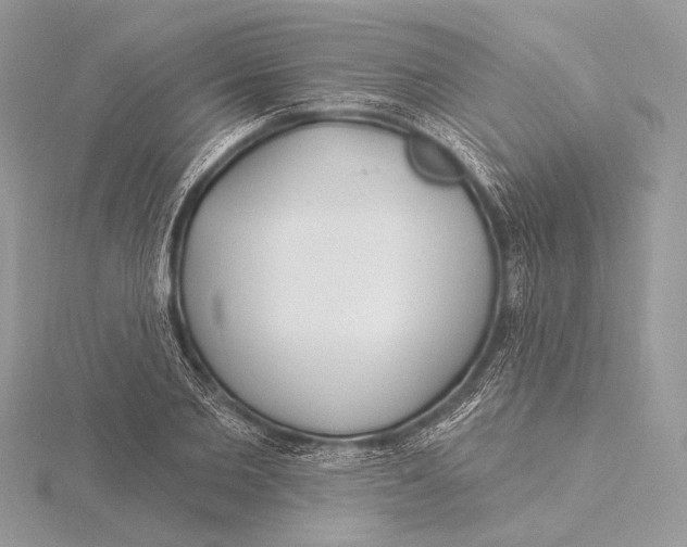 X0000115830885200912041646