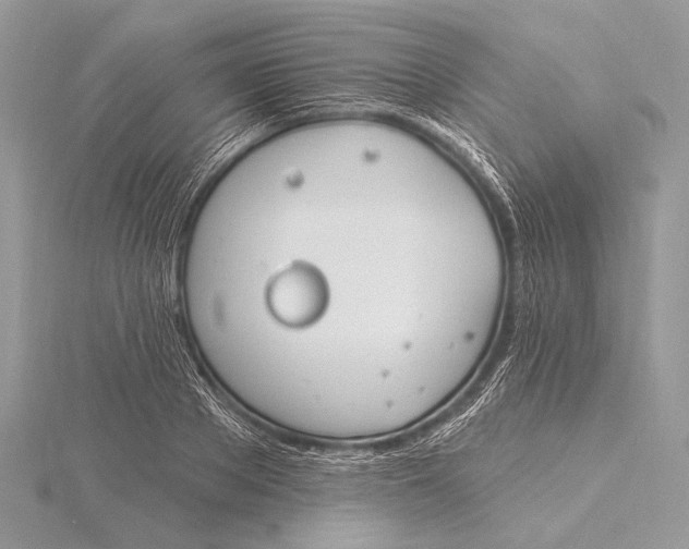 X0000115830889200912041645