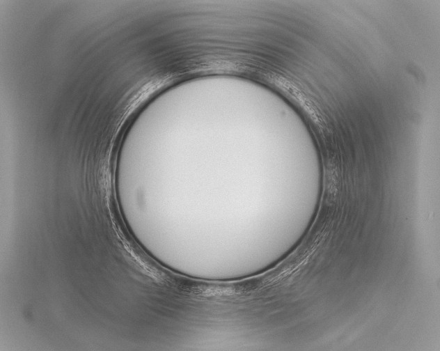 X0000115830890200912041645