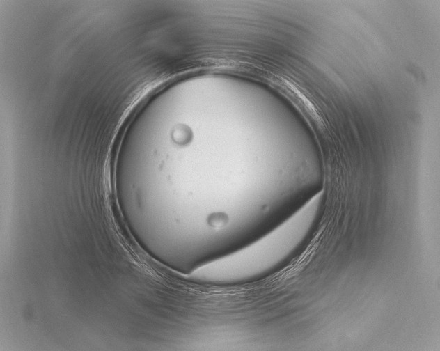 X0000115830891200912041645