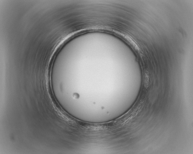 X0000115830895200912041645