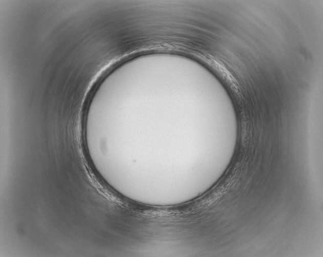 X0000115830896200912041645